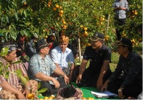 Perkenalan Agro Wisata Kintamani