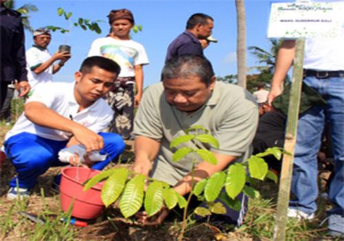 Dukung Bali Green Province, Wagub Apresiasi Program â€˜Lebih Green Villageâ€™