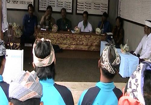 Gapoktan Budi Luhur Kelompok Tani Ternak Mertha Buana, Desa Katung, Kintamani