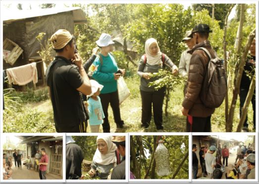 DINAS PKP BERSAMA BPTPHBUN TINDAK LANJUT MASALAH BUAH BUSUK DAN KERING BATANG TANAMAN JERUK DI BAYUNG CERIK